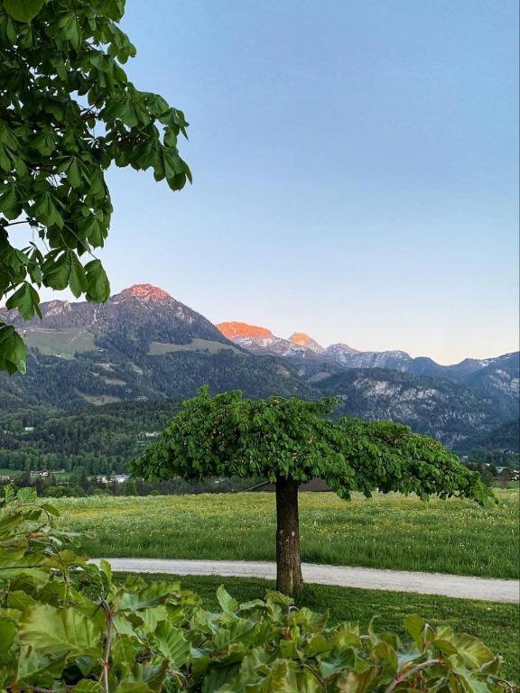 Pension Kohlhiasl Schoenau am Koenigsee Luaran gambar